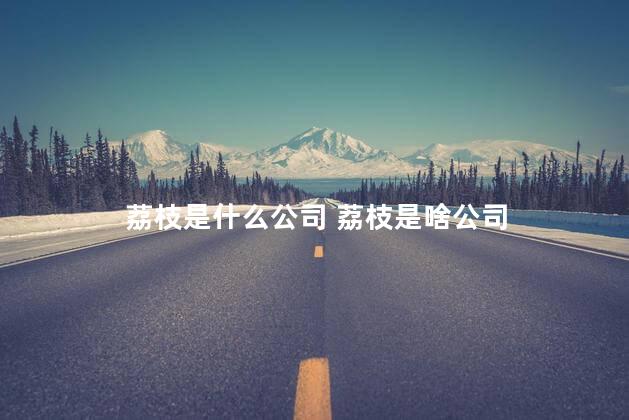 荔枝是什么公司 荔枝是啥公司